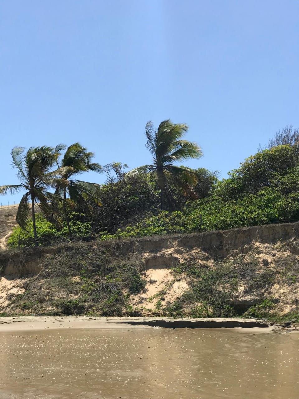 Day, Beach