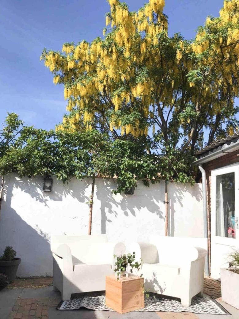 Patio, Garden