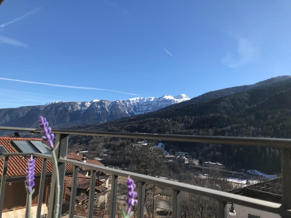 Balcony/Terrace, Mountain view