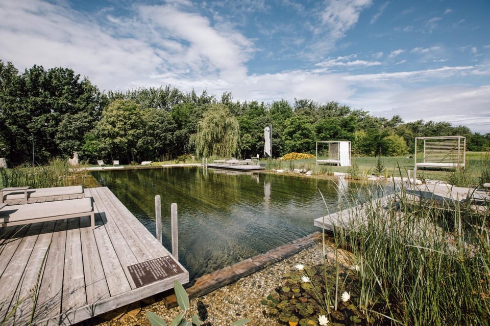 Day, Natural landscape, Garden view, Lake view