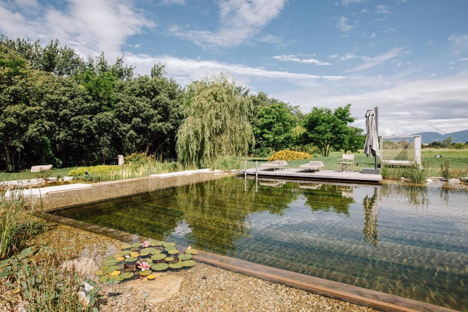 Natural landscape, Lake view, River view