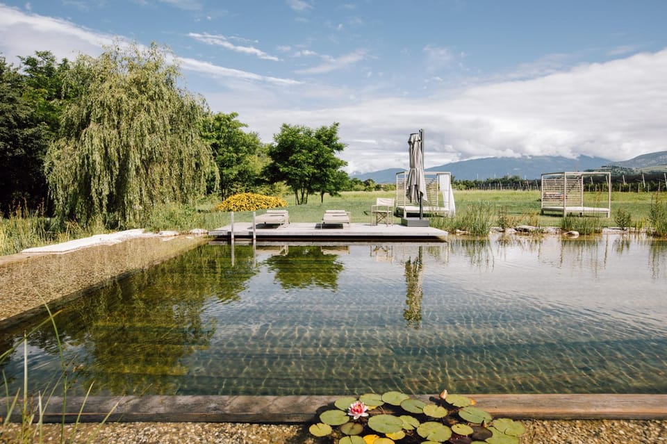 Natural landscape, Garden, Garden view, Pool view, Swimming pool