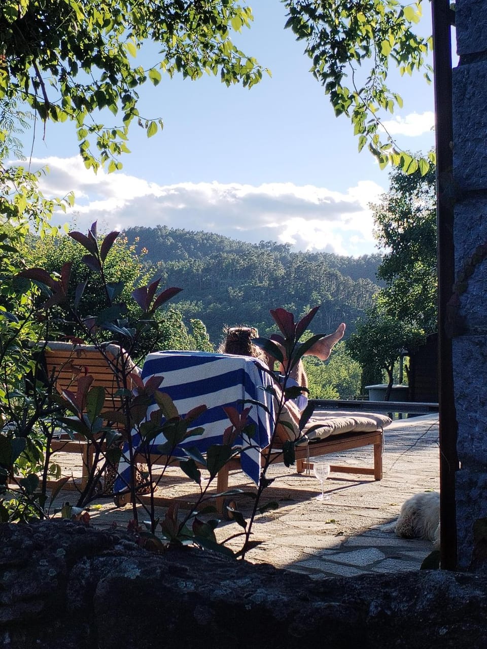 Garden view, Pool view, Area and facilities, Swimming pool