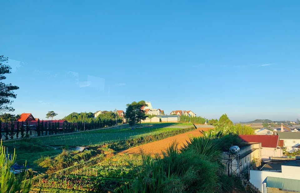 Day, Neighbourhood, Natural landscape, Garden view, Sunset