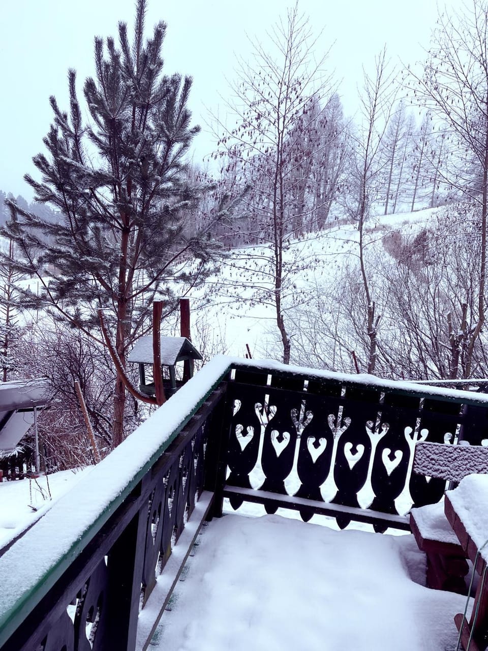 Balcony/Terrace