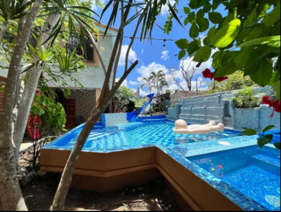 Day, Garden, Garden view, Pool view, Swimming pool