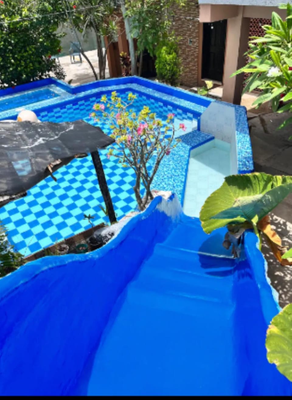 Day, Garden, Aqua park, Garden view, Pool view, Swimming pool