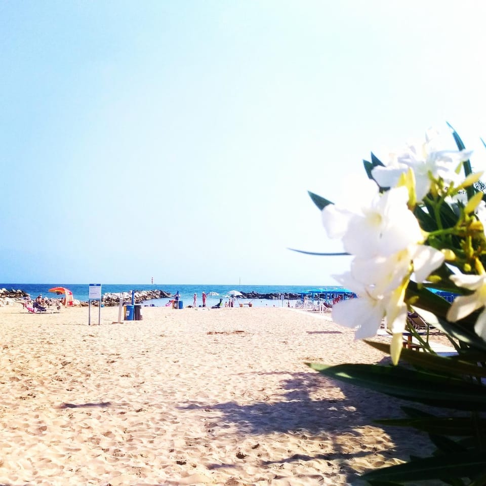 Day, Natural landscape, Beach