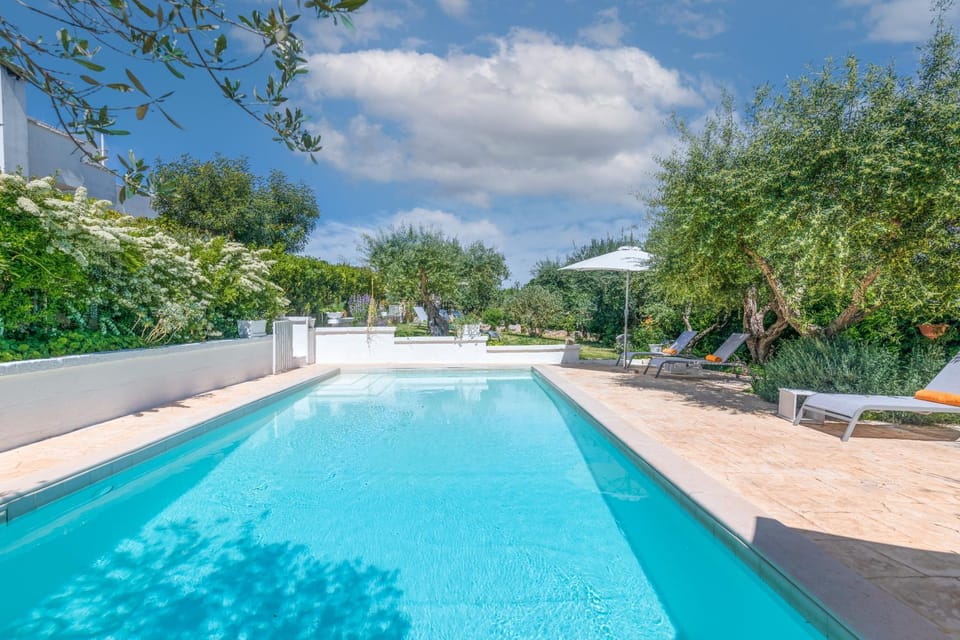 Day, Garden, Pool view, Swimming pool