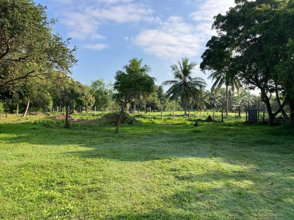 Nuwara Wewa Holiday Resort House in Sri Lanka