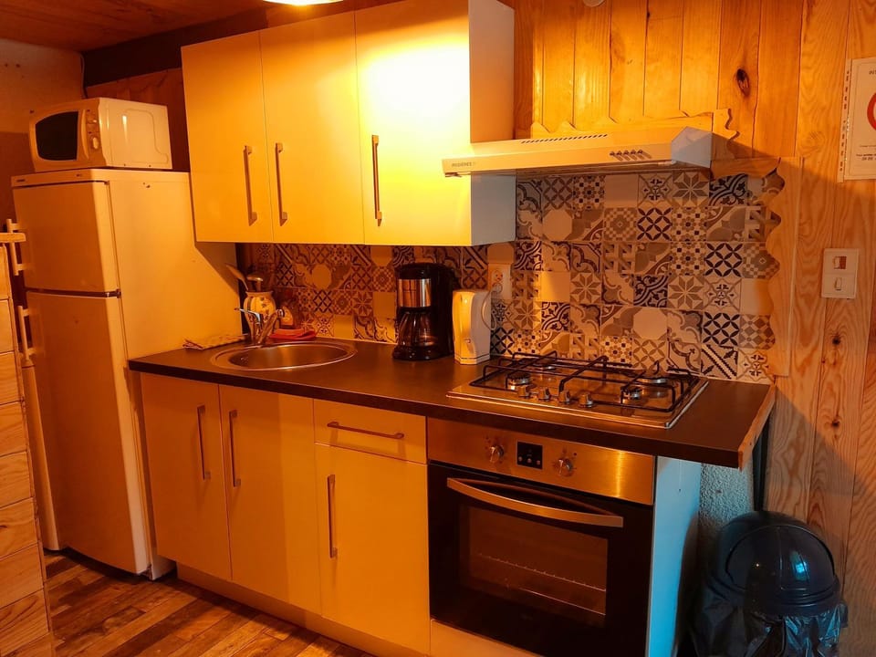 Coffee/tea facilities, Kitchen or kitchenette, minibar, pet friendly, stove