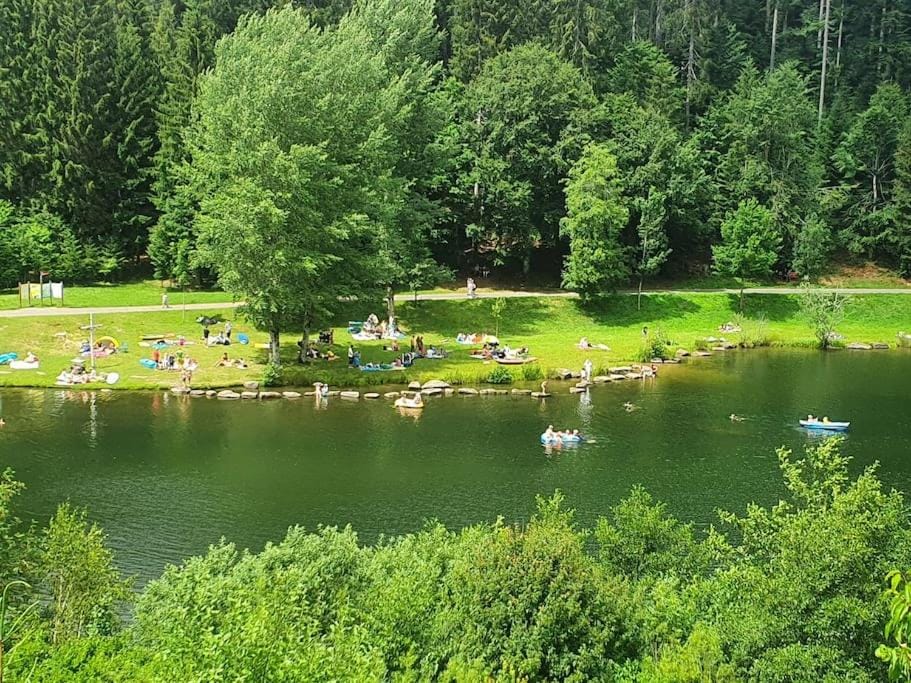 Natural landscape, Lake view