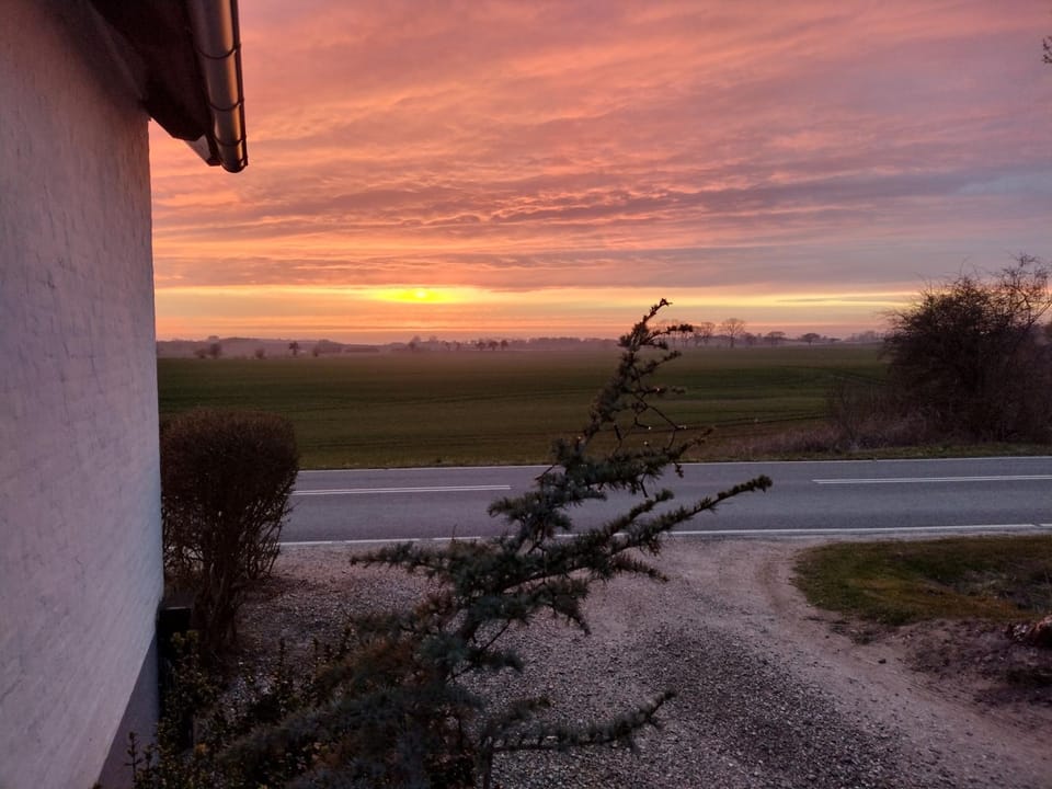Hus ved skov Apartment in Region of Southern Denmark