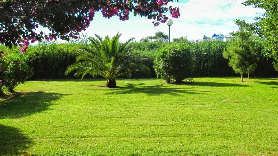 Garden, Other