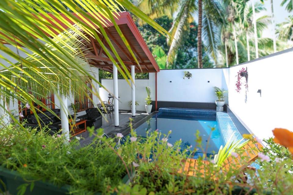 Seating area, Swimming pool, sunbed