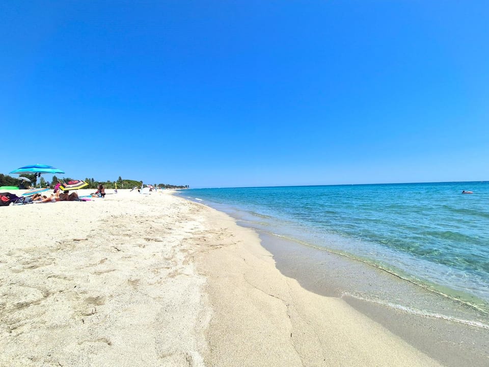 Natural landscape, Summer, Beach