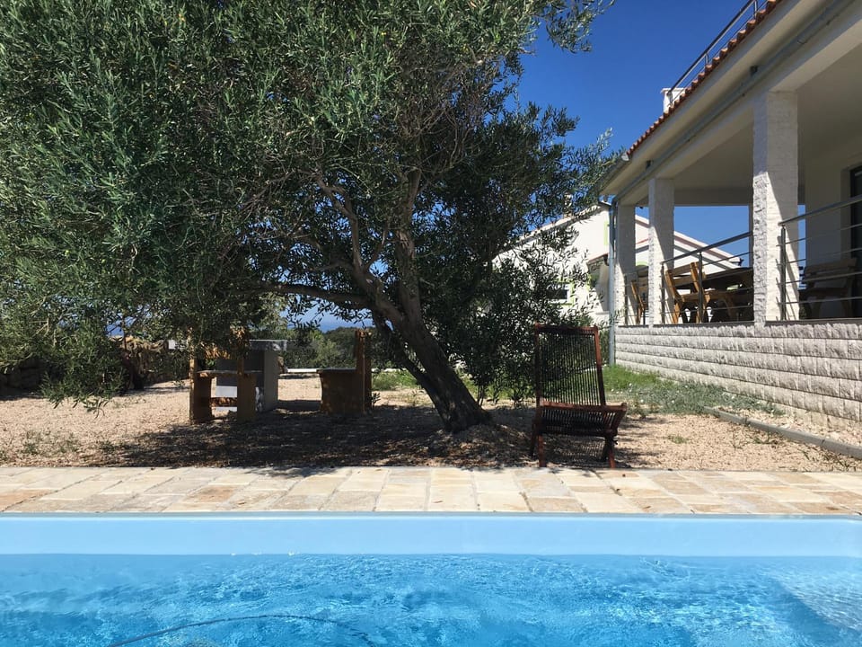 Garden, Swimming pool, Swimming pool