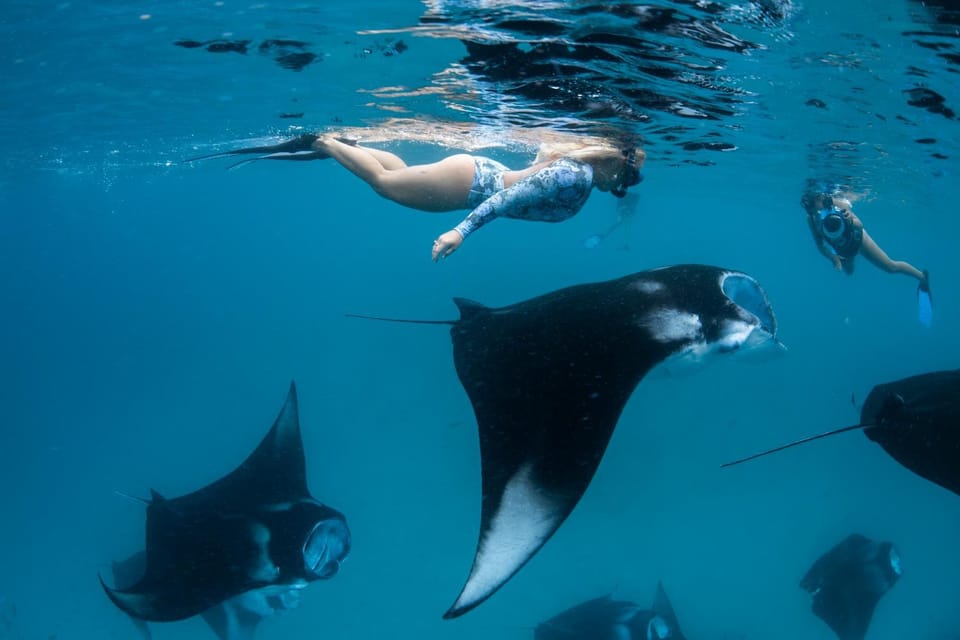 Snorkeling, Diving