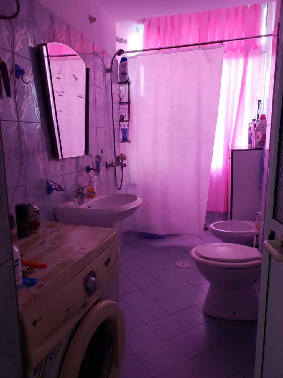 Shower, Toilet, Bathroom, bidet