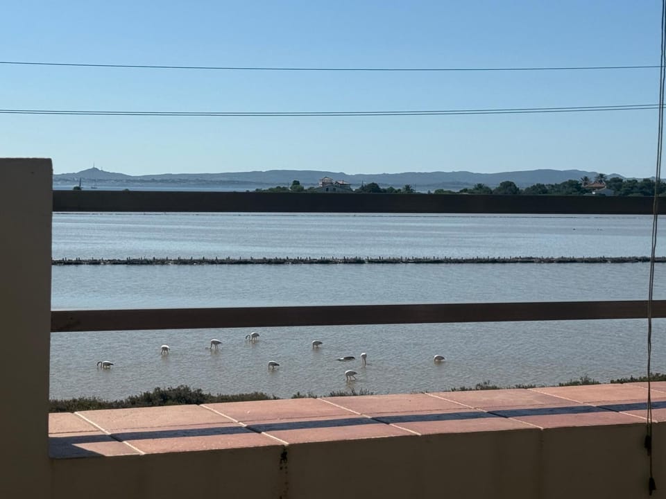 Natural landscape, View (from property/room), Balcony/Terrace