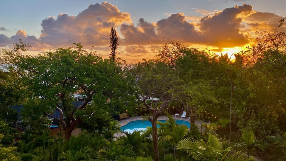 Spring, Day, Natural landscape, Garden, View (from property/room), Garden view, Pool view, Swimming pool, Sunrise