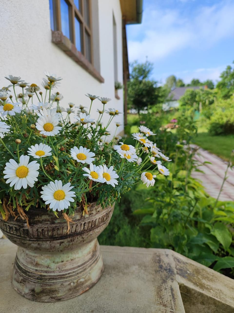 Egyszervolt Házikó Chalet in Hungary