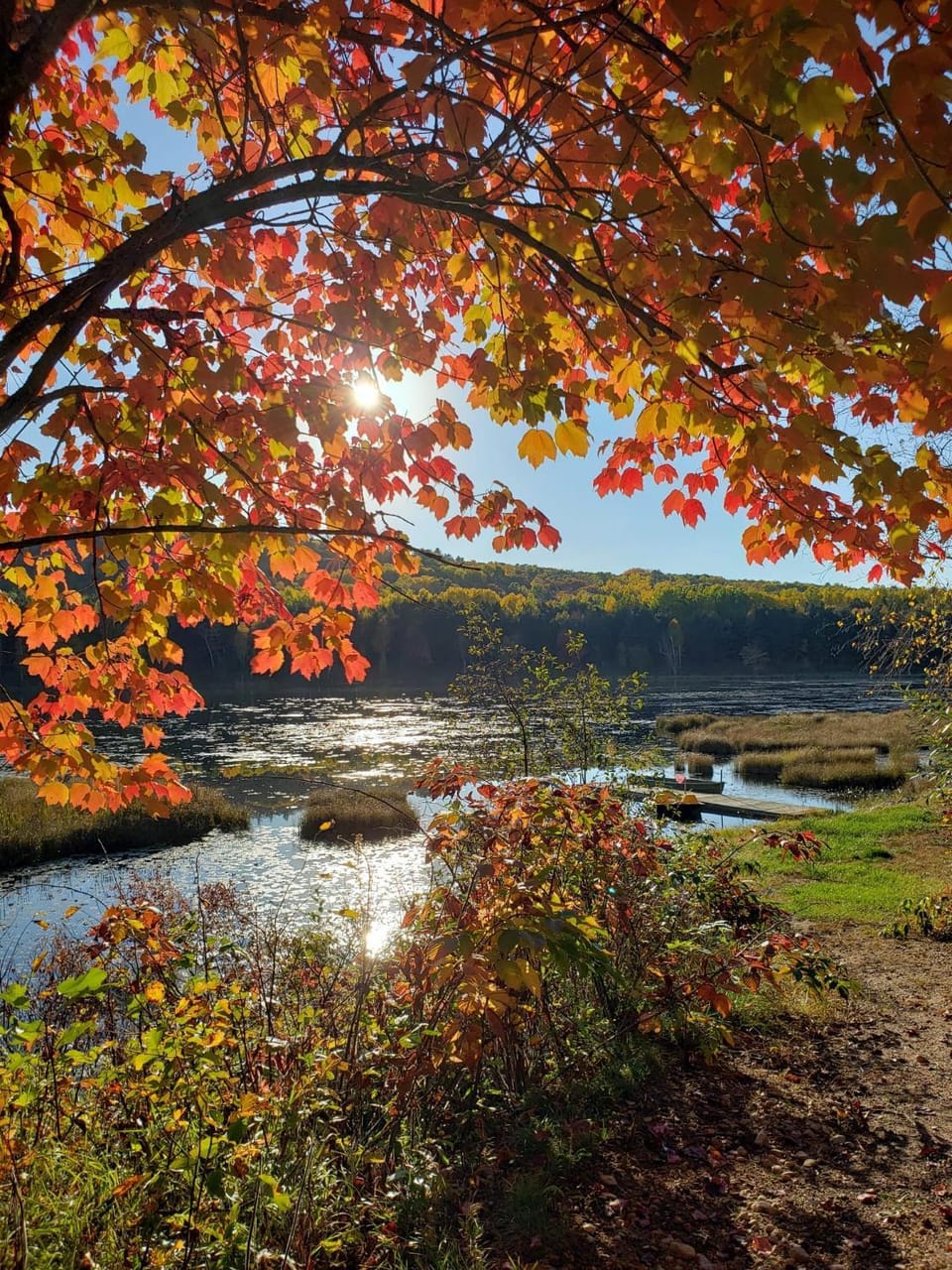 Natural landscape, River view