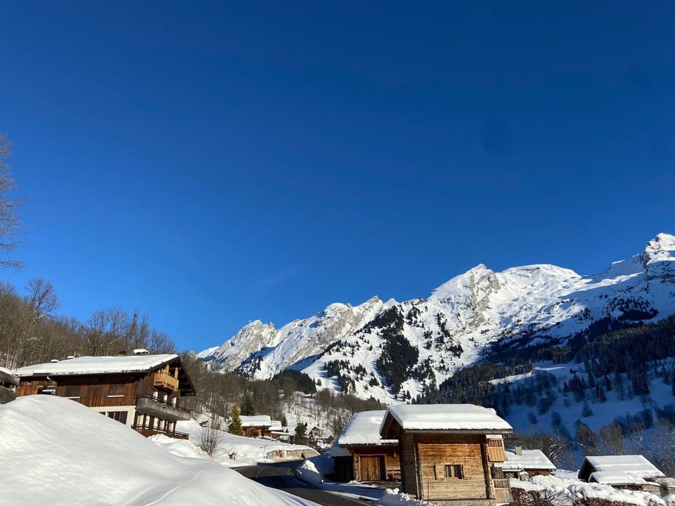 Appartement cosy, vue montagne, 4-6 pers, WIFI, animaux OK Apartment in La Clusaz