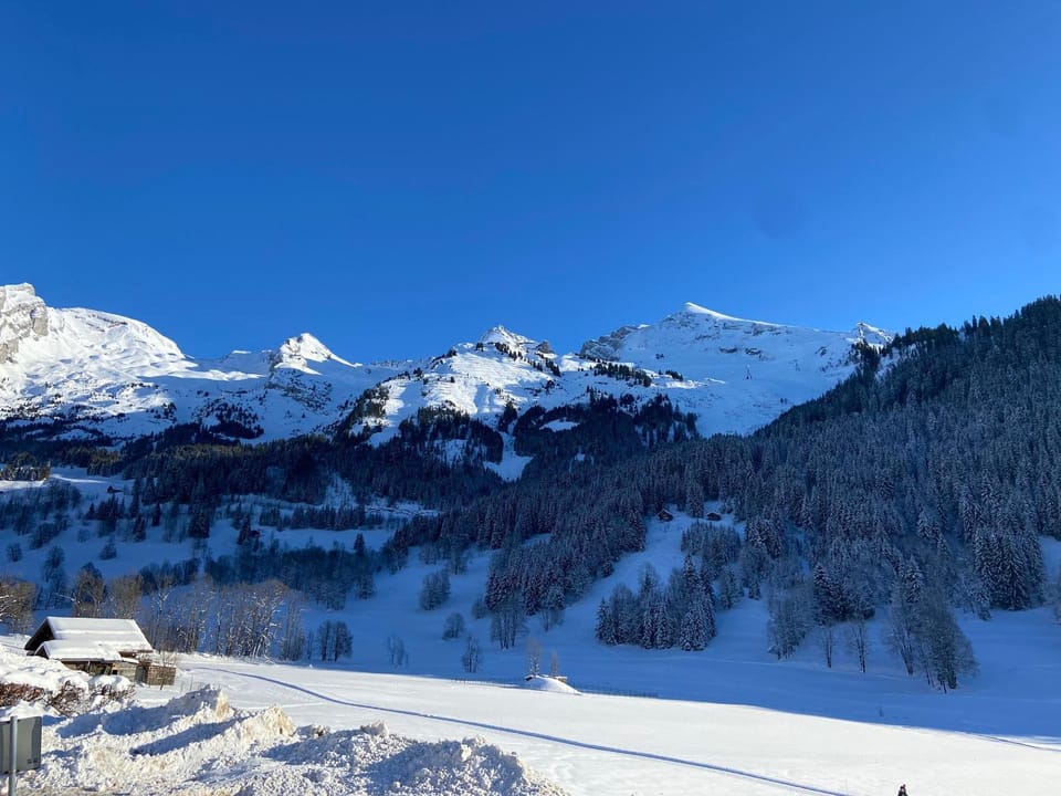 Appartement cosy, vue montagne, 4-6 pers, WIFI, animaux OK Apartment in La Clusaz