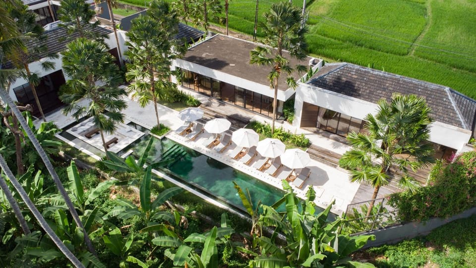 Property building, Natural landscape, Pool view, Swimming pool, sunbed