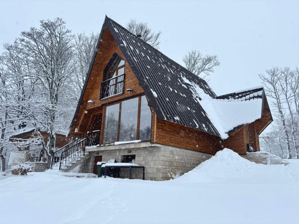 Vila Sun forest Villa in Montenegro