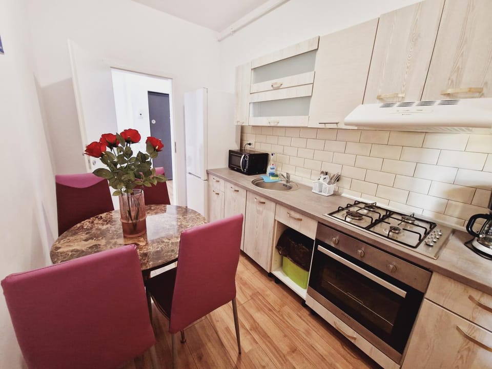 Ultracentral 5* Boutique Hotel style apartment. Brand new. 2 rooms. Spacious. Free parking Apartment in Cluj-Napoca