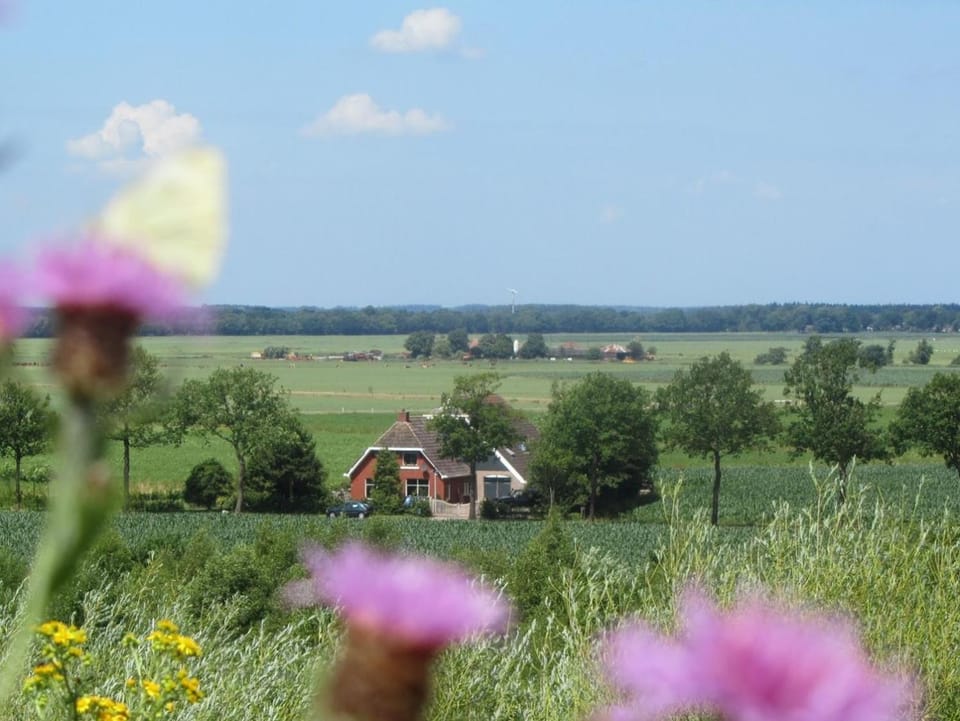 Property building, Natural landscape