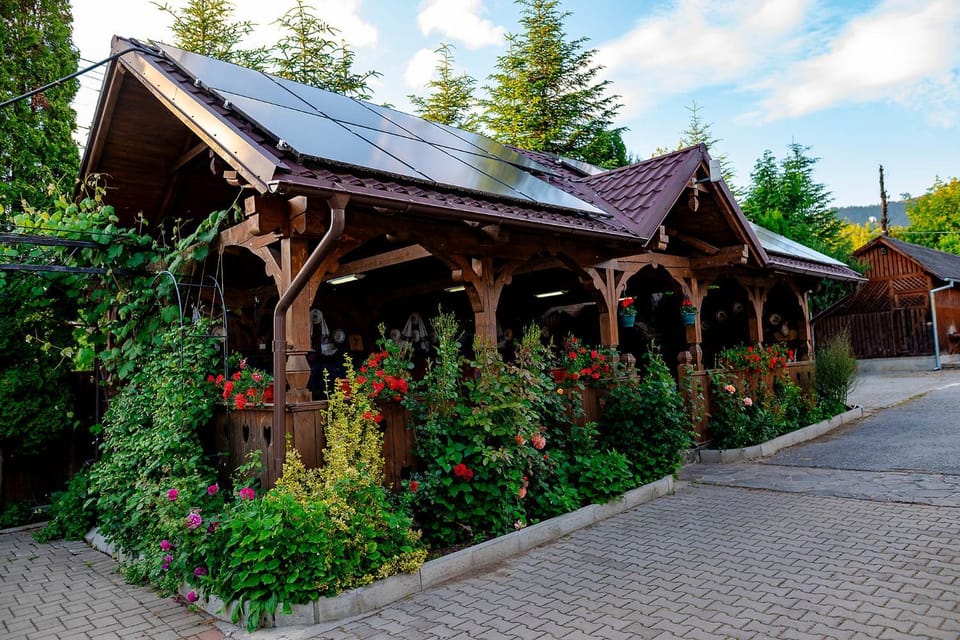 Pensiunea Poiana Bed and Breakfast in Romania