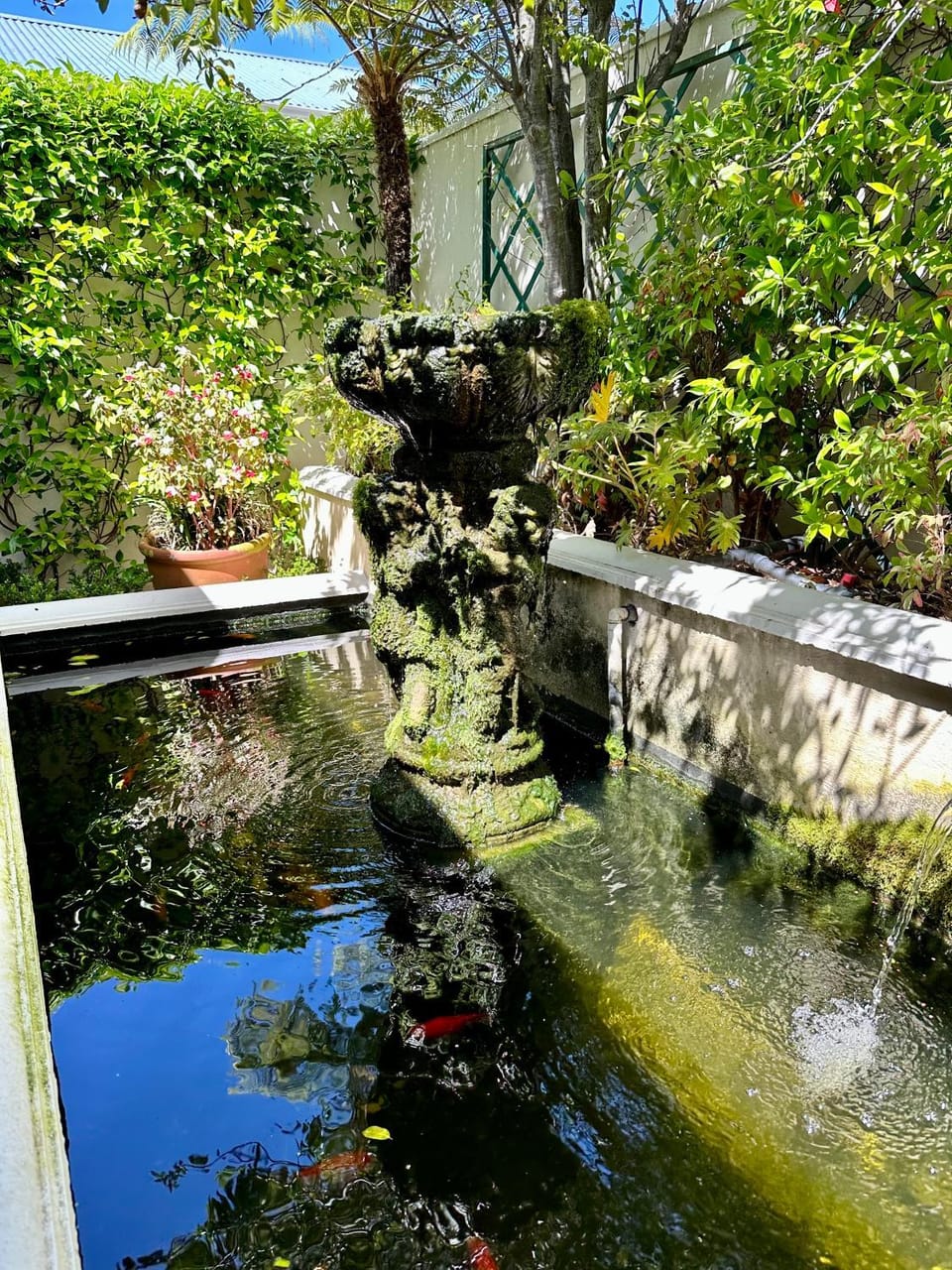 Garden view