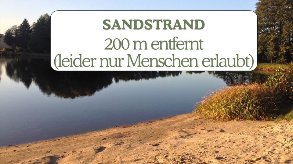 Hundeurlaub - Tiny House im Wald House in Thuringia, Germany