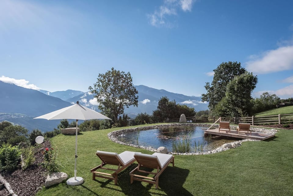 Natural landscape, Garden, sunbed