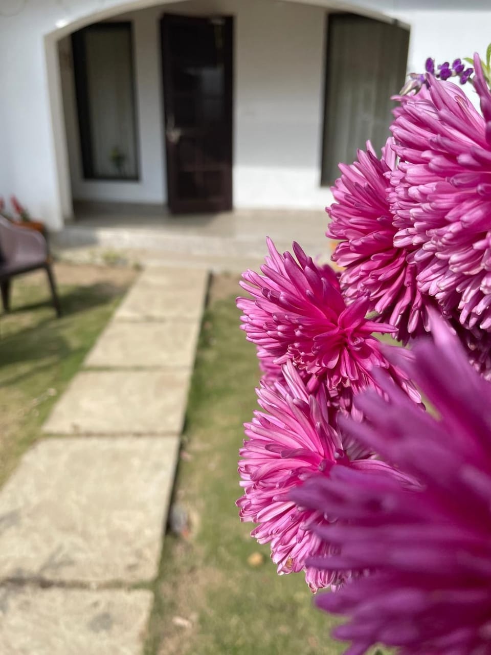KAFAL TREE Home Stay - PET FRIENDLY House in Uttarakhand