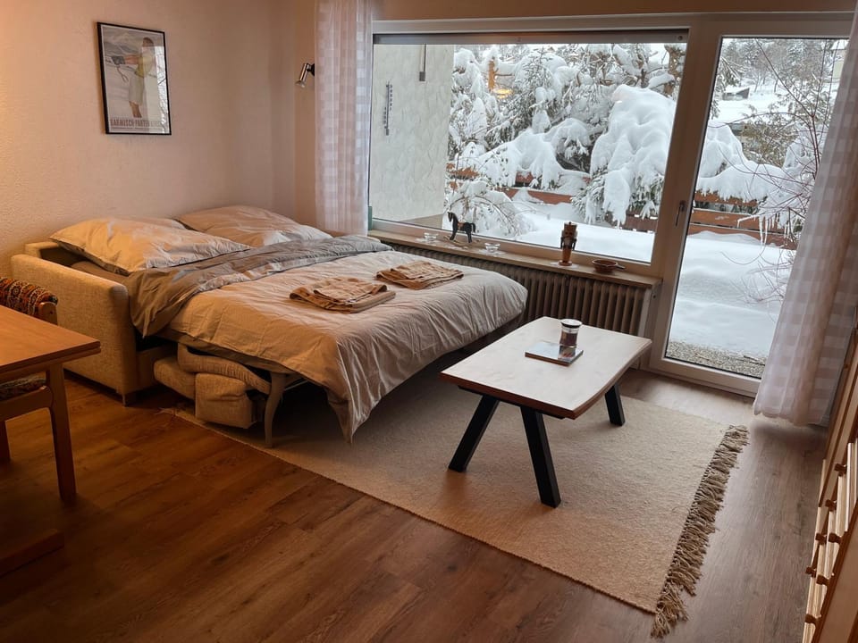 Bed, Living room, Photo of the whole room, Bedroom