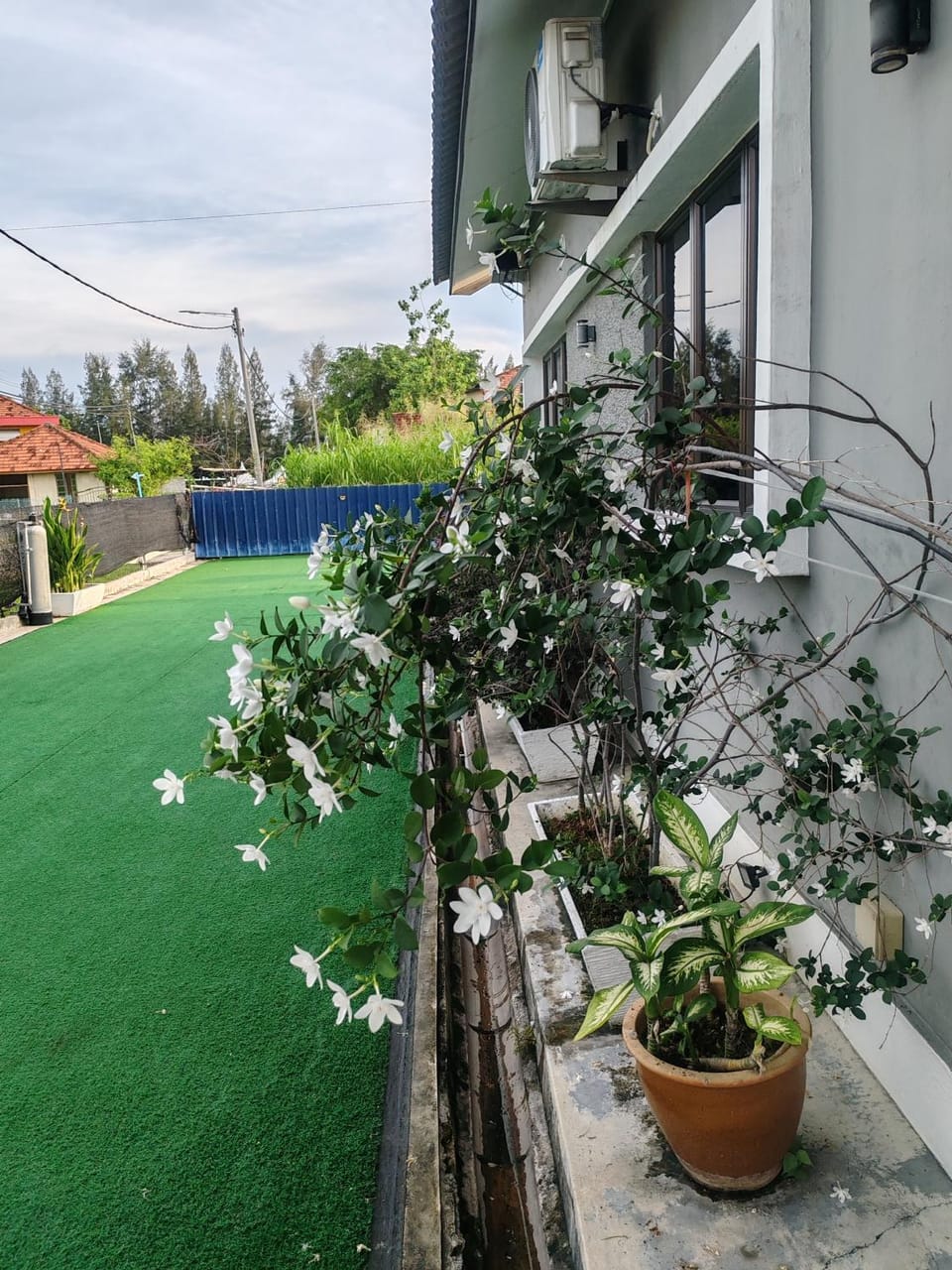 Garden, Garden view