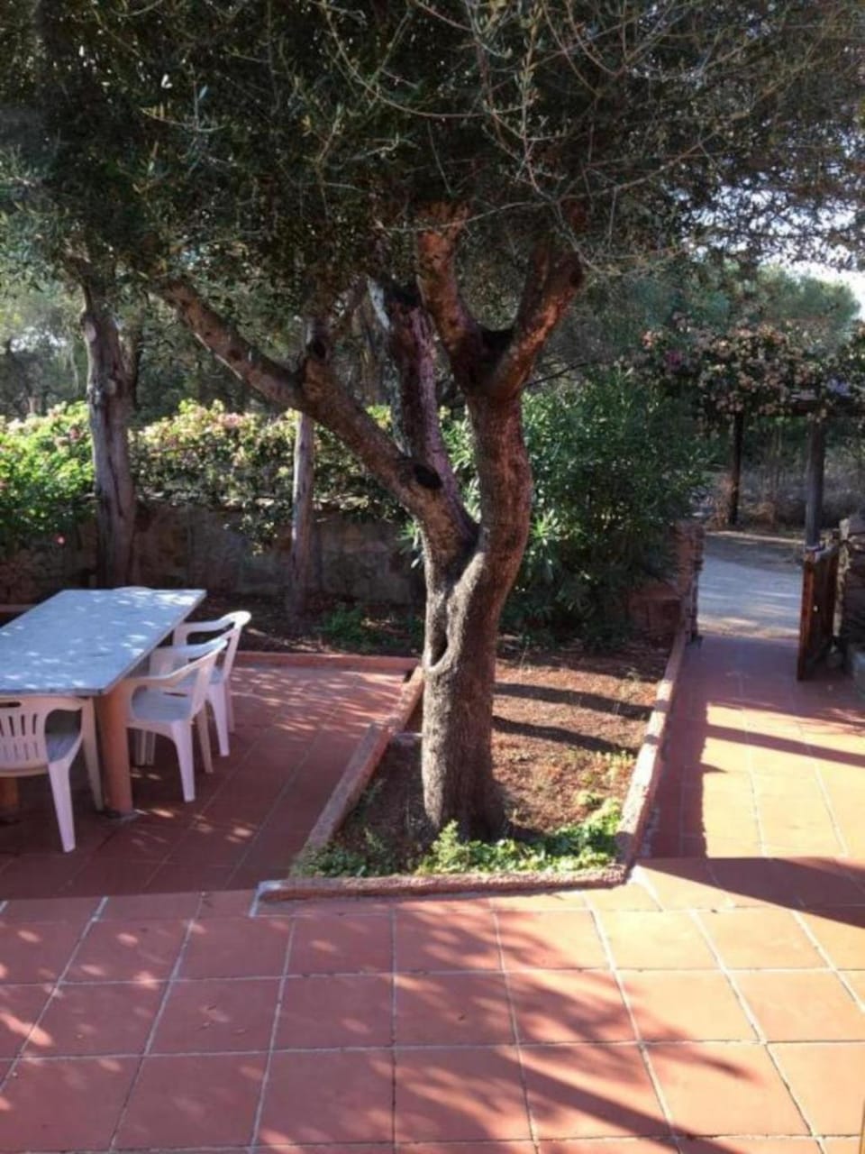 Garden, Garden, Garden view