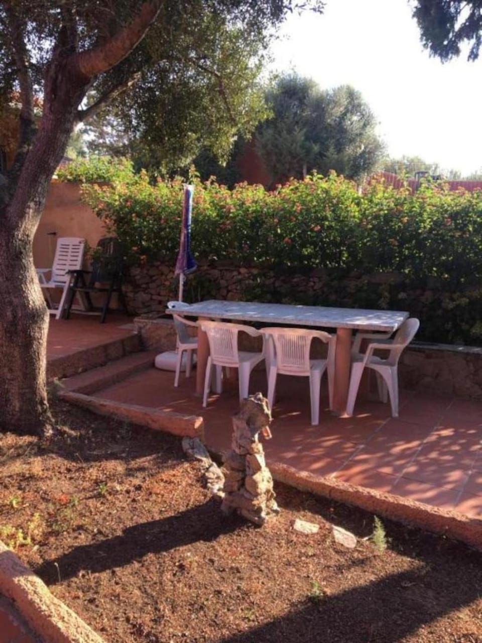 Patio, Garden, Garden