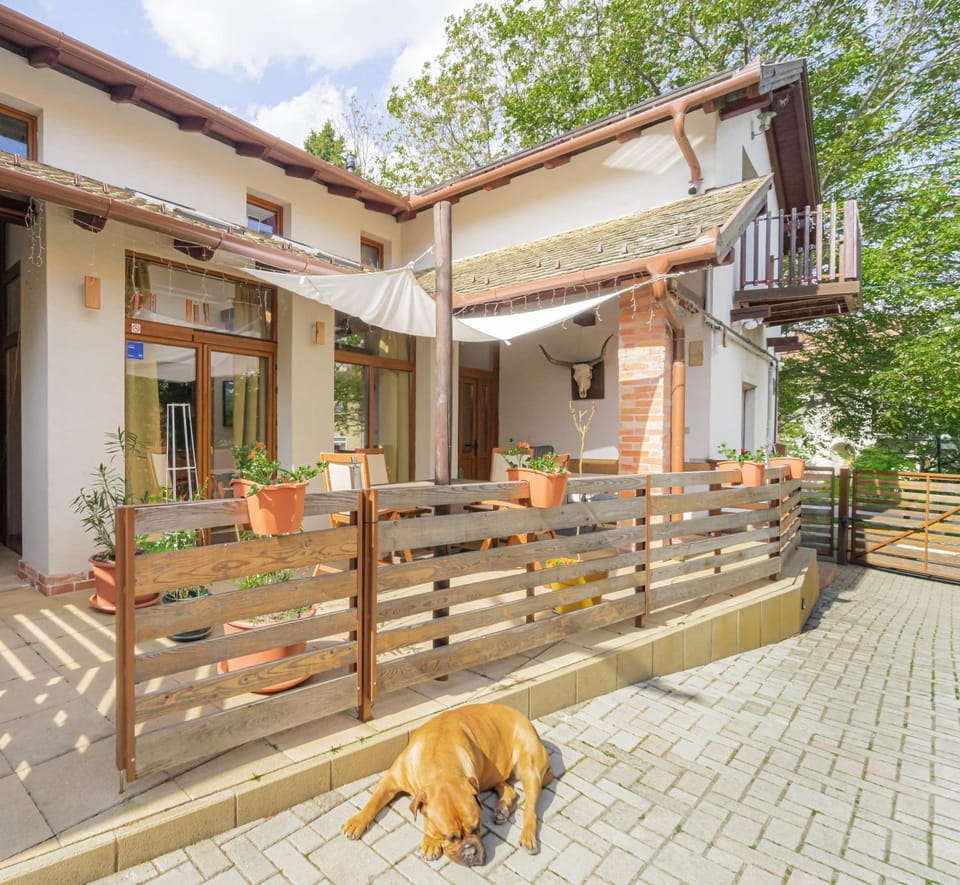 Patio, Patio, Balcony/Terrace, Balcony/Terrace