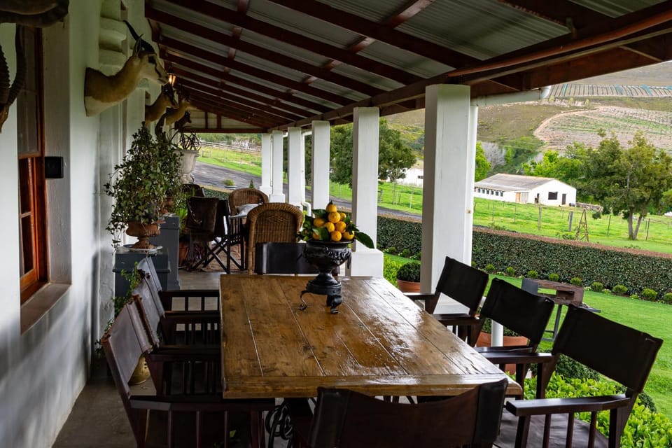 Patio, Restaurant/places to eat