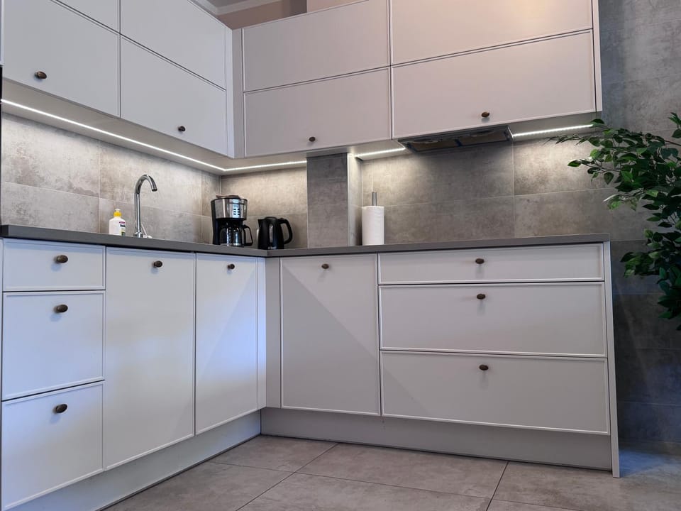 Coffee/tea facilities, Kitchen or kitchenette, minibar, pet friendly, stove