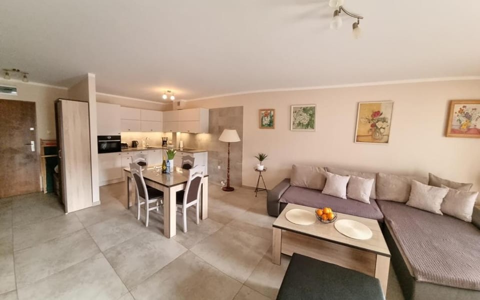 Kitchen or kitchenette, Living room, Seating area, Dining area, stove