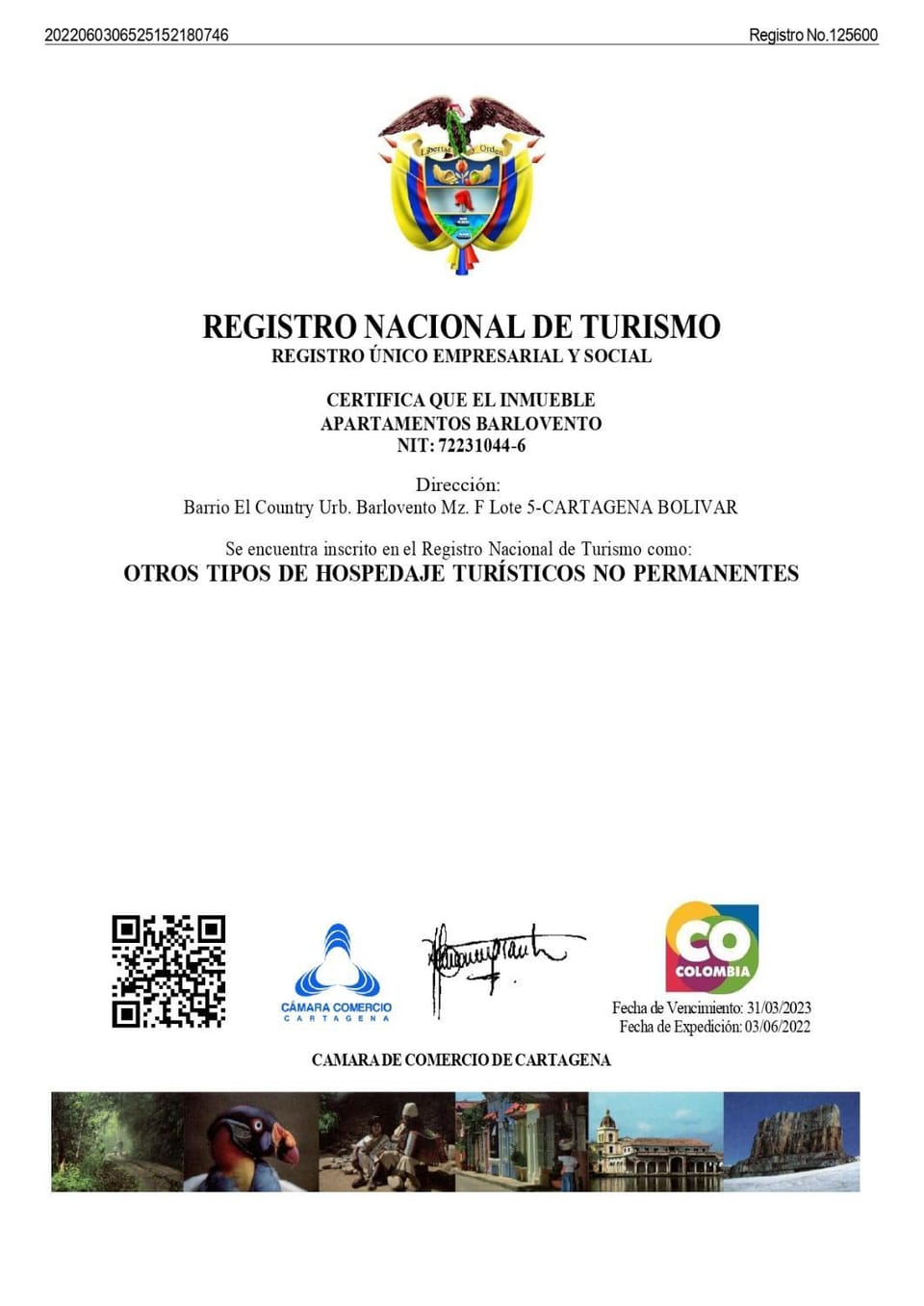 Certificate/Award