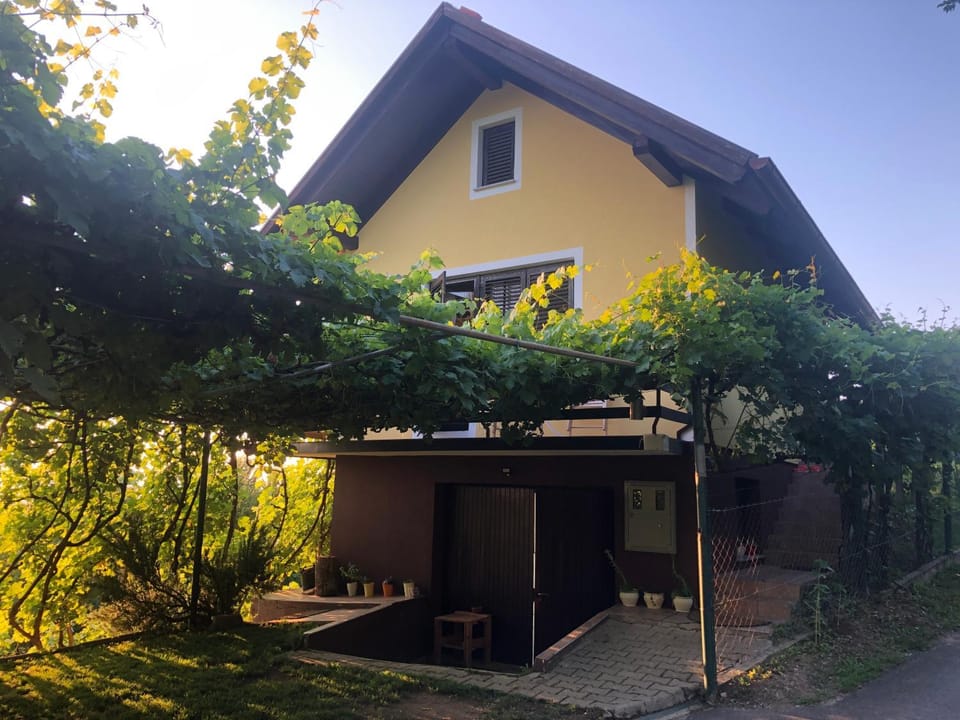 Adorable guesthouse in the middle of vineyards Apartment in Slovenia