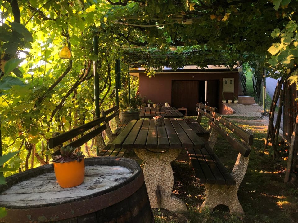 Adorable guesthouse in the middle of vineyards Apartment in Slovenia