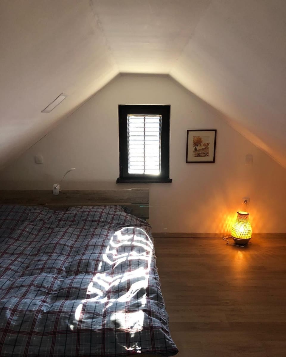 Adorable guesthouse in the middle of vineyards Apartment in Slovenia